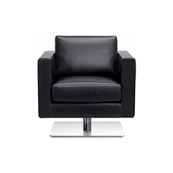 Park Swivel Armchair CG-A1512-2