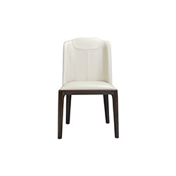 Dining chair CG-WT15-01