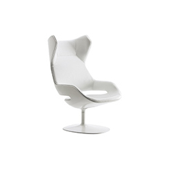 evolution lounge chair CG-B014-1