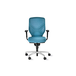 IN 07 office chair CG-A1106